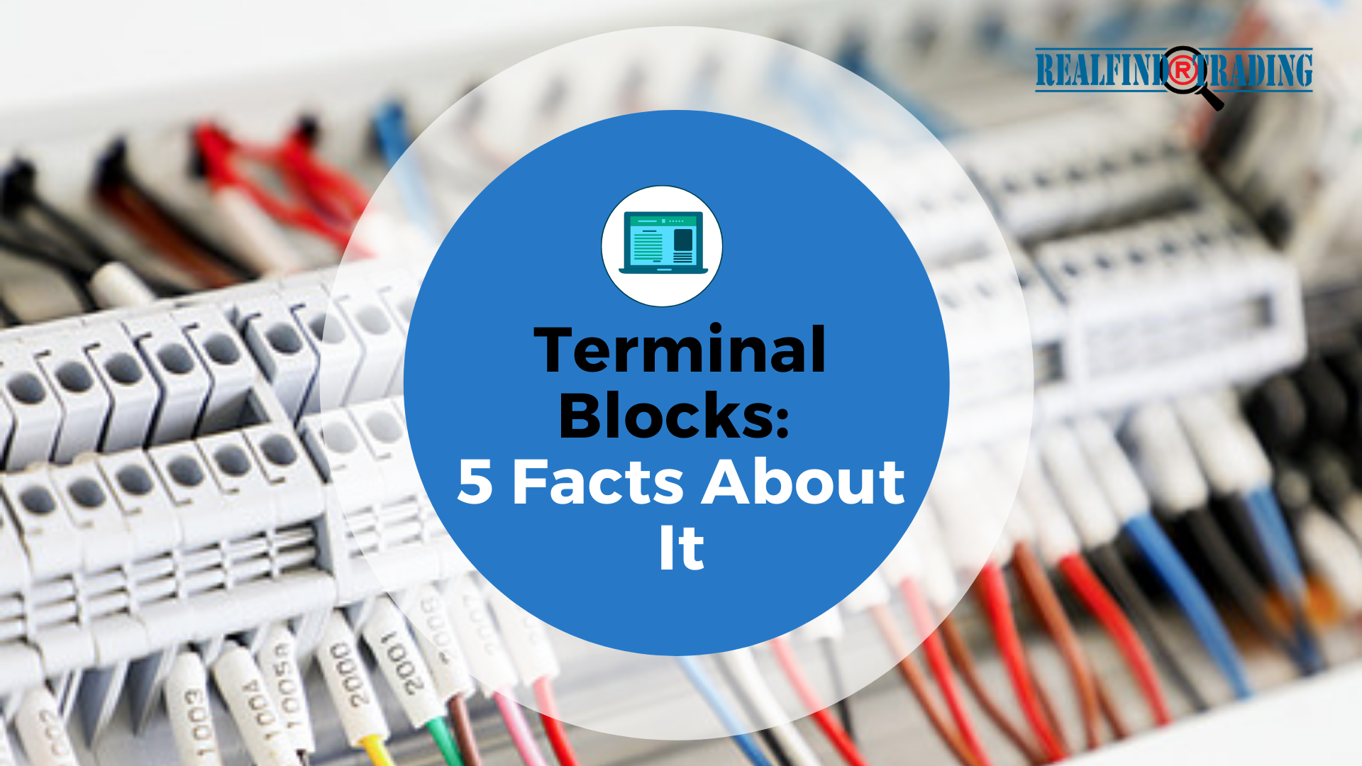 Terminal Blocks 5 Facts About It Featured Image